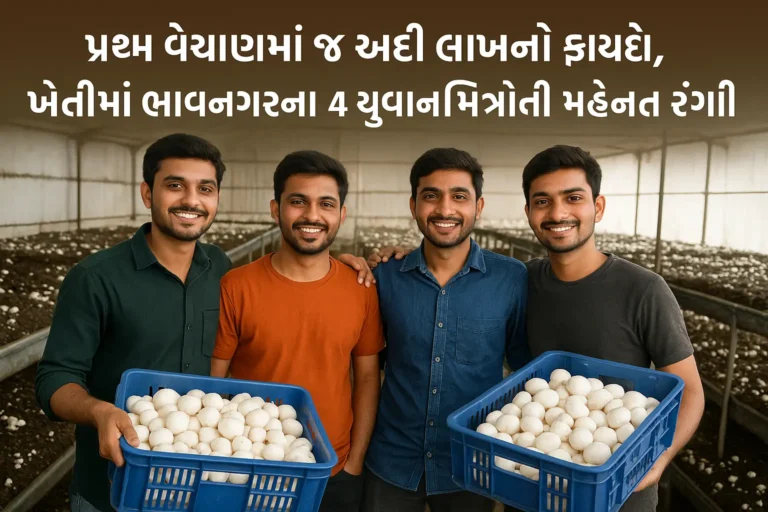 Gujarat Mushroom Farming