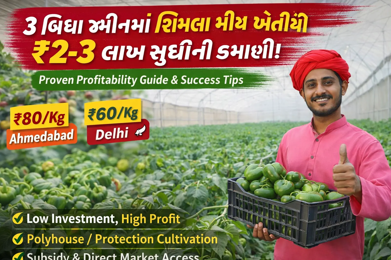 Big Success Trending Business Idea